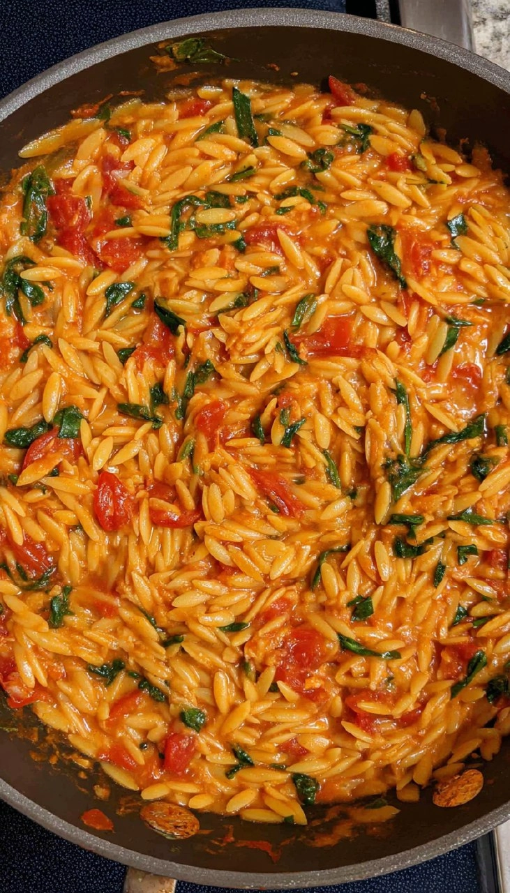 One Pot Creamy Tomato Orzo