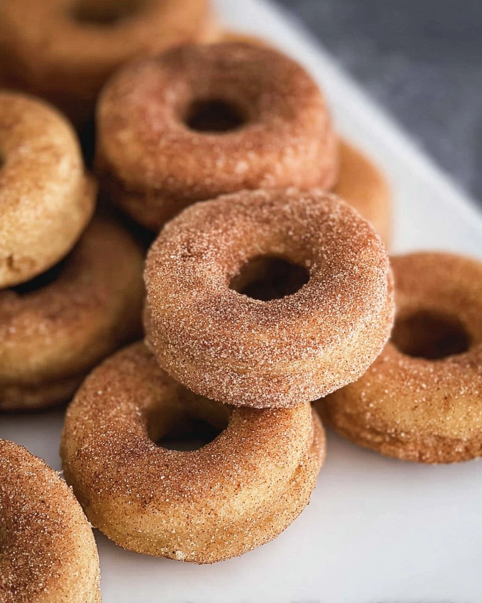 Baked Apple Cider Donuts 129 Baked Apple Cider Donuts